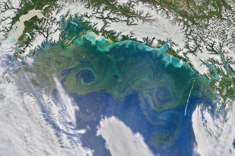 This image shows abundant phytoplankton, known as a bloom, as swirls of green in the Gulf of Alaska on June 9, 2016