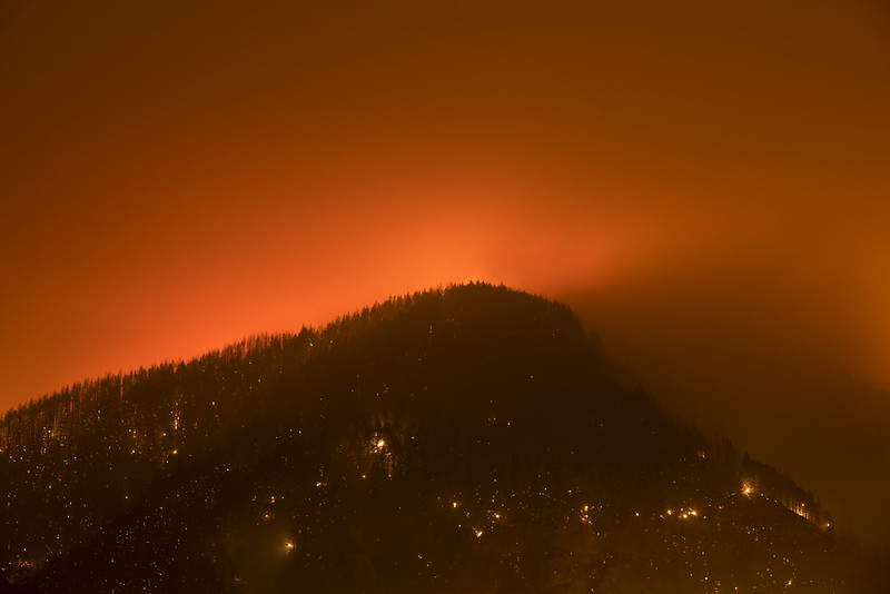 A photo of a forest fire